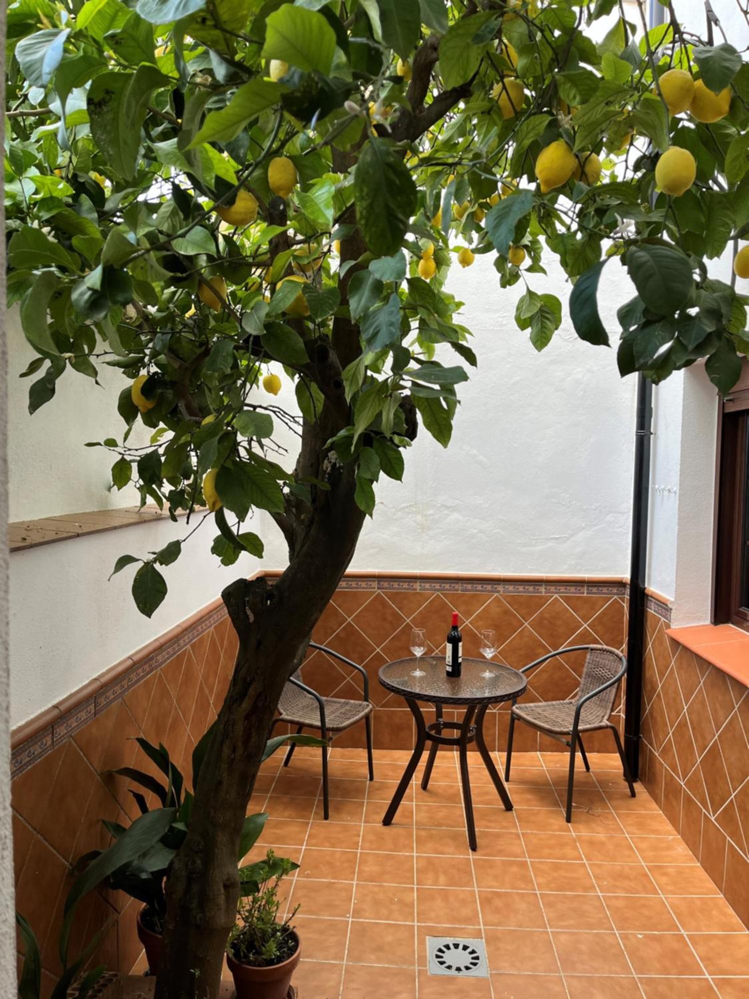 Casa Arao Villa Grazalema Ngoại thất bức ảnh
